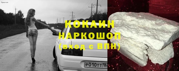 гидра Горно-Алтайск