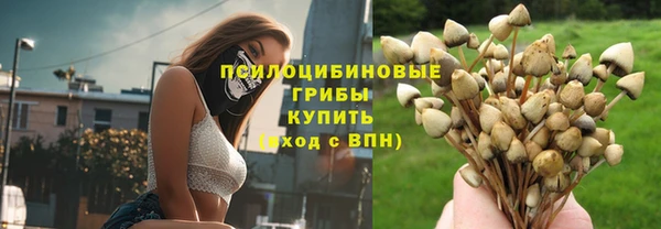 гидра Горно-Алтайск