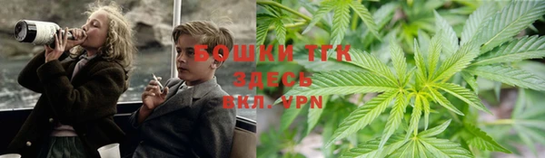мдпв Горнозаводск