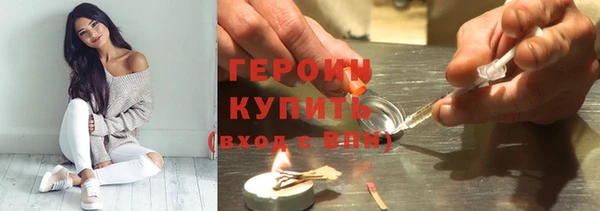 гидра Горно-Алтайск