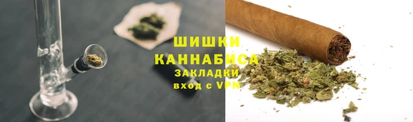 мдпв Горнозаводск