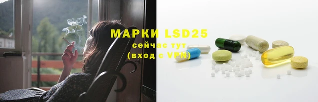 мдпв Горнозаводск