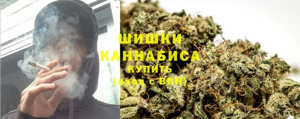 мдпв Горнозаводск