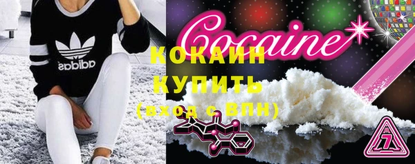 мдпв Горнозаводск