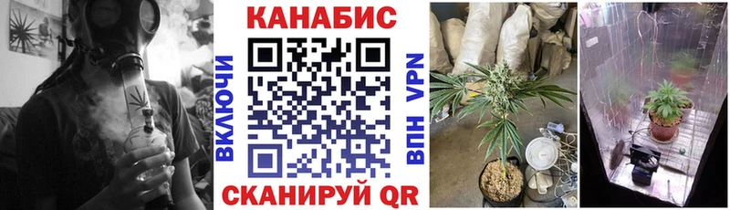 Бошки марихуана SATIVA & INDICA  Купить где  Тейково 